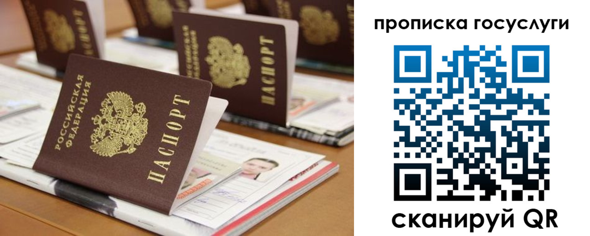 регистрация для дет. сада в Долгопрудном